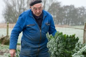 Boerenkoolrecept: lekkerste boerenkool